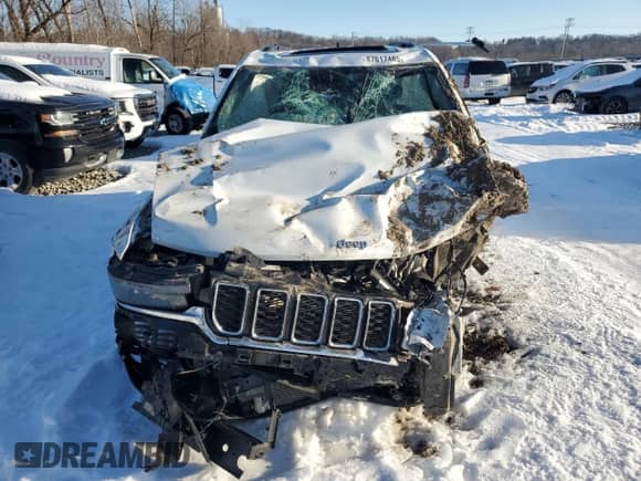 2022 Jeep Grand Cherokee with VIN 1C4RJYB64N8756069, listed as a Copart auction lot 87617485 with Not provided miles and Salvage title. Bid and sale history available at DreamBid. Image 5.