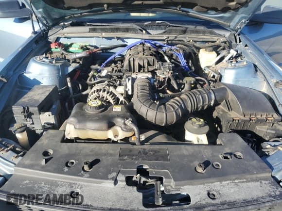 ✅ 2006 Ford Mustang Standard • VIN: 1ZVFT80N665226029 • Lot: 86671935. Listed on Copart with 171,578 mi. Free auction sales archive from the USA and detailed vehicle history report at DreamBid. Image 11.