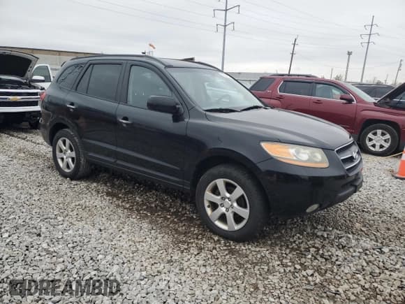 ✅ 2008 Hyundai Santa Fe SE • VIN: 5NMSH13E48H217156 • Lot: 81866104. Listed on Copart with 190,677 mi. Free auction sales archive from the USA and detailed vehicle history report at DreamBid. Image 4.