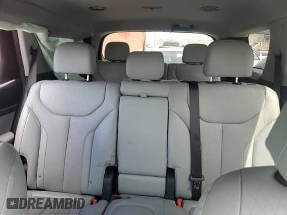 2020 Hyundai Palisade SEL with VIN KM8R4DHE7LU149954, listed as a Copart auction lot 70291804 with 48,488 mi miles and Salvage title. Bid and sale history available at DreamBid. Image 10.