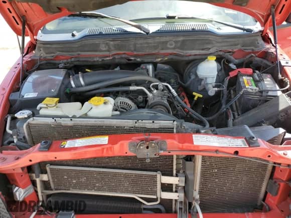 2008 Dodge 1500 SLT с VIN 1D7HA182X8S539839, выставлен на аукционе Copart как лот 57511384 с пробегом 269 665 миль миль и На запчасти • Non repairable. История ставок и продаж доступна на DreamBid. Изображение 11.