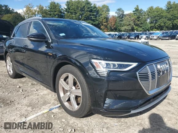 ✅ 2019 Audi e-tron Premium Plus • VIN: WA1LAAGE0KB023197 • Лот: 83927275. Опубликован ранее на Copart с пробегом 77 806 миль. Бесплатный доступ к архиву аукционных продаж из США и подробный отчёт об истории автомобиля на DreamBid. Изображение 4.