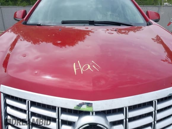 ✅ 2016 Cadillac SRX Performance Collection • VIN: 3GYFNCE39GS504754 • Lot: 42290812. Listed on IAAI with 29,866 mi. Free auction sales archive from the USA and detailed vehicle history report at DreamBid. Image 6.