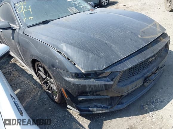 ✅ 2024 Ford Mustang EcoBoost • VIN: 1FA6P8TH2R5108583 • Lot: 42819961. Listed on IAAI with Not provided. Free auction sales archive from the USA and detailed vehicle history report at DreamBid. Image 1.