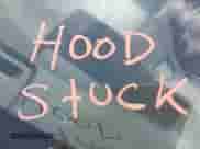 ✅ 2020 Hyundai Tucson Value • VIN: KM8J3CA48LU136223 • Lot: 43206384. Wystawiony na IAAI z przebiegiem 29 811 mil mil. Skorzystaj z bezpłatnego archiwum sprzedaży aukcyjnych z USA i zobacz szczegółowy raport historii pojazdu na DreamBid. Zdjęcie 10.