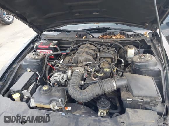 ✅ 2010 Ford Mustang V6 • VIN: 1ZVBP8EN1A5177701 • Лот: 43253805. Опубликован ранее на IAAI с пробегом 202 820 миль. Бесплатный доступ к архиву аукционных продаж из США и подробный отчёт об истории автомобиля на DreamBid. Изображение 10.