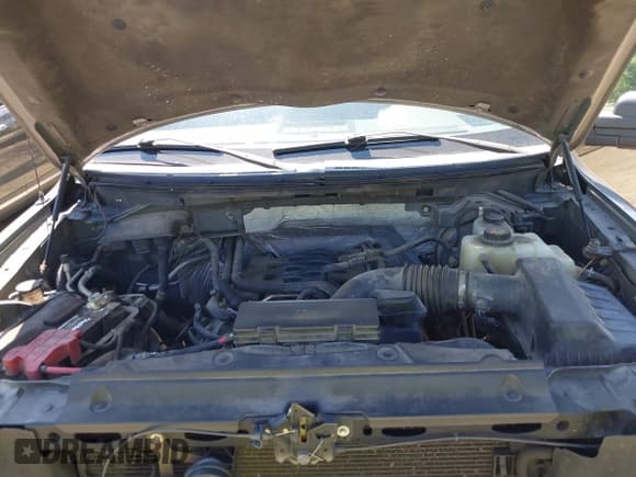 ✅ 2011 Ford F-150 XL • VIN: 1FTFX1EF0BFB20048 • Лот: 43138230. Опубликован ранее на IAAI с пробегом 296 507 миль. Бесплатный доступ к архиву аукционных продаж из США и подробный отчёт об истории автомобиля на DreamBid. Изображение 10.