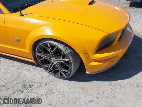 ✅ 2008 Ford Mustang GT Deluxe • VIN: 1ZVHT82H885149991 • Lot: 41659094. Listed on IAAI with 140,534 mi. Free auction sales archive from the USA and detailed vehicle history report at DreamBid. Image 17.