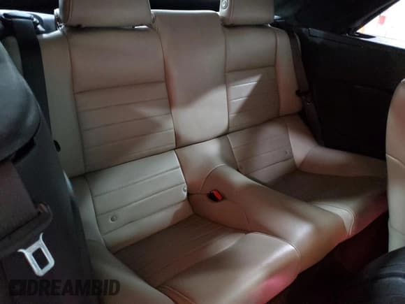 ✅ 2014 Ford Mustang V6 • VIN: 1ZVBP8EM1E5210516 • Лот: 87189365. Опубликован ранее на Copart с пробегом Не указан. Бесплатный доступ к архиву аукционных продаж из США и подробный отчёт об истории автомобиля на DreamBid. Изображение 10.