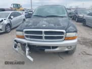 ✅ 2004 Dodge Dakota SLT • VIN: 1D7HG48N14S503851 • Lot: 41883437. Wystawiony na IAAI z przebiegiem 225 505 mil. Bezpłatny archiwum sprzedaży aukcyjnych z USA i szczegółowy raport historii pojazdu na DreamBid. Zdjęcie 12.