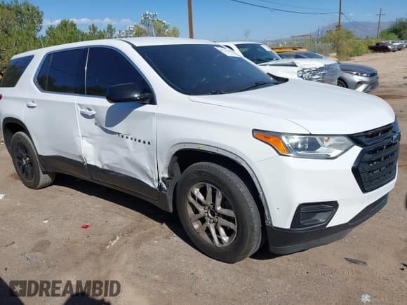 ✅ 2019 Chevrolet Traverse LS • VIN: 1GNERFKW8KJ125753 • Lot: 43538910. Wystawiony na IAAI z przebiegiem 83 003 mil. Bezpłatny archiwum sprzedaży aukcyjnych z USA i szczegółowy raport historii pojazdu na DreamBid. Zdjęcie 1.