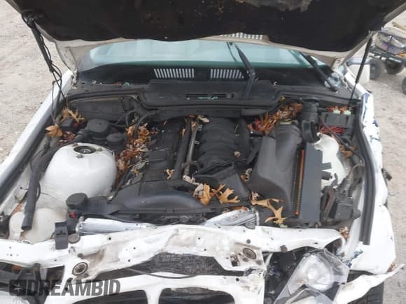 ✅ 1998 BMW 3 Series • VIN: WBABF7322WEH41453 • Lot: 43683345. Listed on IAAI with Not provided. Free auction sales archive from the USA and detailed vehicle history report at DreamBid. Image 10.