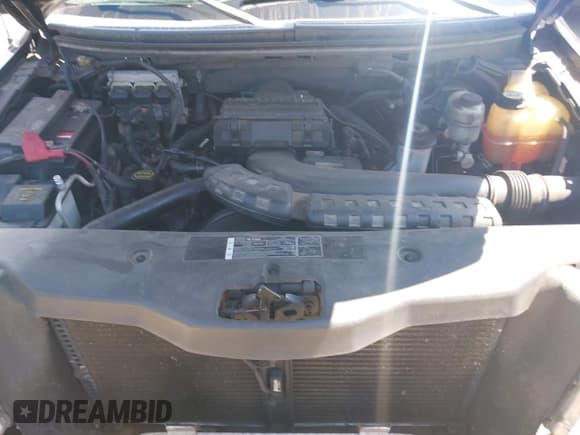 ✅ 2005 Ford F-150 XLT • VIN: 1FTPX14585FA82196 • Lot: 42771610. Listed on IAAI with Not provided. Free auction sales archive from the USA and detailed vehicle history report at DreamBid. Image 10.