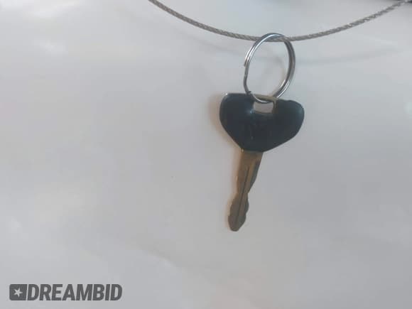 ✅ 1998 Dodge 1500 • VIN: 3B7HC13Z0WG189473 • Lot: 43790942. Wystawiony na IAAI z przebiegiem 136 475 mil. Bezpłatny archiwum sprzedaży aukcyjnych z USA i szczegółowy raport historii pojazdu na DreamBid. Zdjęcie 11.