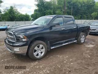 ✅ 2010 Dodge 1500 SLT • VIN: 1D7RV1CTXAS107346 • Lot: 61286395. Wystawiony na Copart z przebiegiem 190 568 mil. Bezpłatny archiwum sprzedaży aukcyjnych z USA i szczegółowy raport historii pojazdu na DreamBid. Zdjęcie 1.