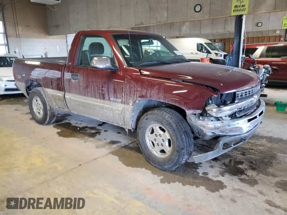 2002 Chevrolet Silverado 1500 LS with VIN 1GCEK14T52Z224244, listed as a Copart auction lot 46358495 with 167,200 mi miles and Clean title. Bid and sale history available at DreamBid. Image 4.