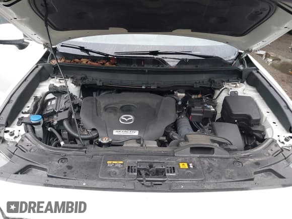 ✅ 2019 Mazda CX-9 Grand Touring • VIN: JM3TCBDY4K0303602 • Lot: 43563726. Wystawiony na IAAI z przebiegiem 124 038 mil. Bezpłatny archiwum sprzedaży aukcyjnych z USA i szczegółowy raport historii pojazdu na DreamBid. Zdjęcie 10.