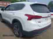 ✅ 2023 Hyundai Santa Fe SE • VIN: 5NMS1DAJXPH487352 • Лот: 42650038. Размещён на IAAI с пробегом 59 459 миль миль. Получите бесплатный доступ к архиву аукционных продаж из США и посмотрите подробный отчёт об истории автомобиля на DreamBid. Изображение 3.