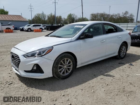 ✅ 2019 Hyundai Sonata SE • VIN: 5NPE24AF5KH753569 • Lot: 49155253. Listed on Copart with 22,896 mi. Free auction sales archive from the USA and detailed vehicle history report at DreamBid. Image 1.