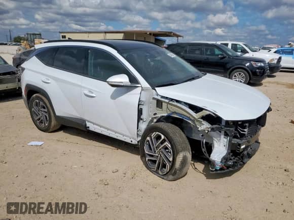 2025 Hyundai Tucson Limited with VIN KM8JEDD14SU345748, listed as a Copart auction lot 85488085 with 1,189 mi miles and Salvage title. Bid and sale history available at DreamBid. Image 4.