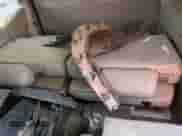 2009 Chevrolet Tahoe LTZ с VIN 1GNFC33019R141531, выставлен на аукционе Copart как лот 64512675 с пробегом Не указан миль и Списание • Salvage title. История ставок и продаж доступна на DreamBid. Изображение 10.