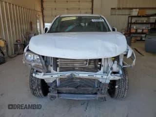 ✅ 2019 Chevrolet Colorado 4WD LT • VIN: 1GCGTCEN6K1110060 • Лот: 57699314. Опубликован ранее на Copart с пробегом 61 736 миль. Бесплатный доступ к архиву аукционных продаж из США и подробный отчёт об истории автомобиля на DreamBid. Изображение 5.