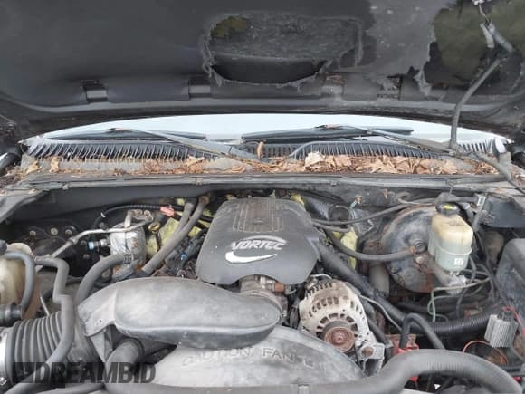 ✅ 2002 Chevrolet Silverado 1500 LS • VIN: 2GCEK19T321222512 • Lot: 43596629. Listed on IAAI with 255,206 mi. Free auction sales archive from the USA and detailed vehicle history report at DreamBid. Image 10.