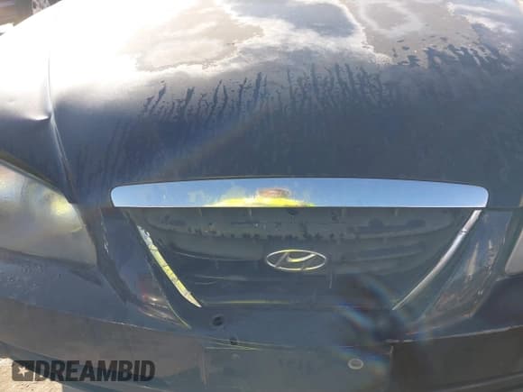 ✅ 2006 Hyundai Elantra GLS • VIN: KMHDN46D06U357339 • Lot: 41617976. Wystawiony na IAAI z przebiegiem 165 545 mil. Bezpłatny archiwum sprzedaży aukcyjnych z USA i szczegółowy raport historii pojazdu na DreamBid. Zdjęcie 6.