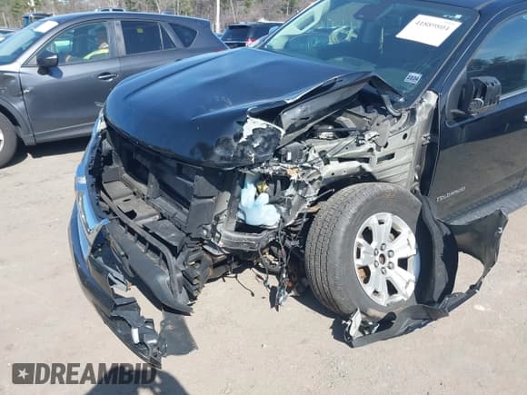 ✅ 2017 Chevrolet Colorado 4WD LT • VIN: 1GCPTCE1XH1209633 • Lot: 41889804. Listed on IAAI with 142,144 mi. Free auction sales archive from the USA and detailed vehicle history report at DreamBid. Image 17.