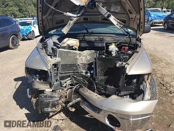 ✅ 2004 Dodge 1500 SLT • VIN: 1D7HA18N74S571992 • Лот: 87432505. Опубликован ранее на Copart с пробегом Не указан. Бесплатный доступ к архиву аукционных продаж из США и подробный отчёт об истории автомобиля на DreamBid. Изображение 13.