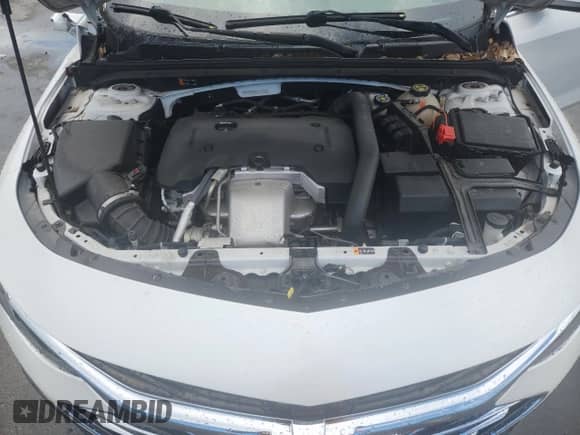 2019 Chevrolet Malibu Premier with VIN 1G1ZE5SX9KF213666, listed as a Copart auction lot 69516585 with 30,717 mi miles and Non repairable. Bid and sale history available at DreamBid. Image 11.