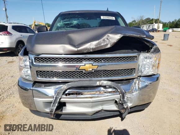 ✅ 2013 Chevrolet Silverado 1500 LS • VIN: 1GCRCREA4DZ116937 • Lot: 51246434. Listed on Copart with 305,915 mi. Free auction sales archive from the USA and detailed vehicle history report at DreamBid. Image 5.