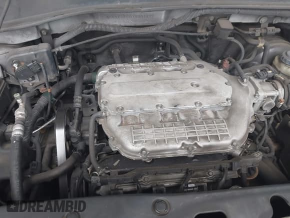 ✅ 2007 Honda Pilot EX-L • VIN: 5FNYF18507B001491 • Lot: 43131960. Wystawiony na IAAI z przebiegiem 201 679 mil. Bezpłatny archiwum sprzedaży aukcyjnych z USA i szczegółowy raport historii pojazdu na DreamBid. Zdjęcie 6.