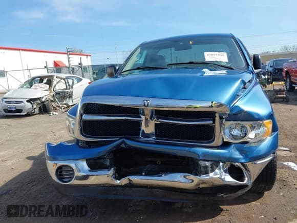 ✅ 2003 Dodge 1500 ST • VIN: 1D7HA16D03J628936 • Лот: 42091869. Опубликован ранее на IAAI с пробегом 46 398 миль. Бесплатный доступ к архиву аукционных продаж из США и подробный отчёт об истории автомобиля на DreamBid. Изображение 6.
