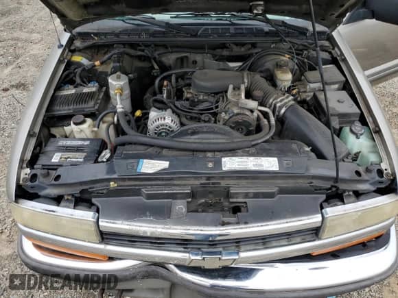 1999 Chevrolet Blazer LS with VIN 1GNDT13W0X2195151, listed as a Copart auction lot 73743264 with 159,543 mi miles and Clean title. Bid and sale history available at DreamBid. Image 12.