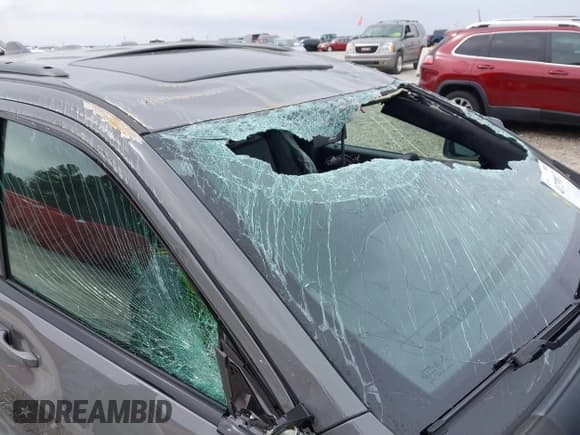 ✅ 2020 Jeep Grand Cherokee Altitude • VIN: 1C4RJEAG8LC244544 • Lot: 41739817. Listed on IAAI with 84,075 mi. Free auction sales archive from the USA and detailed vehicle history report at DreamBid. Image 14.