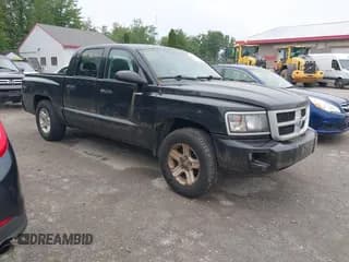 ✅ 2010 Dodge Dakota Bighorn/Lonestar • VIN: 1D7CW3GK8AS202813 • Lot: 42467823. Wystawiony na IAAI z przebiegiem 166 294 mil. Bezpłatny archiwum sprzedaży aukcyjnych z USA i szczegółowy raport historii pojazdu na DreamBid. Zdjęcie 1.