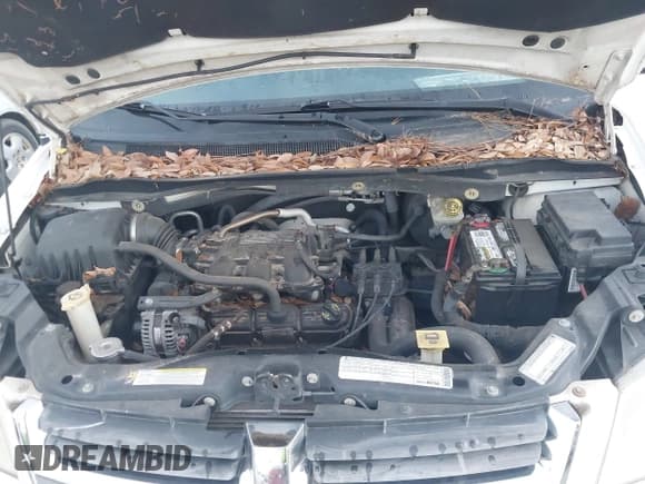 ✅ 2009 Dodge Grand Caravan SXT • VIN: 2D8HN54129R611821 • Лот: 43361561. Опубликован ранее на IAAI с пробегом 124 797 миль. Бесплатный доступ к архиву аукционных продаж из США и подробный отчёт об истории автомобиля на DreamBid. Изображение 10.