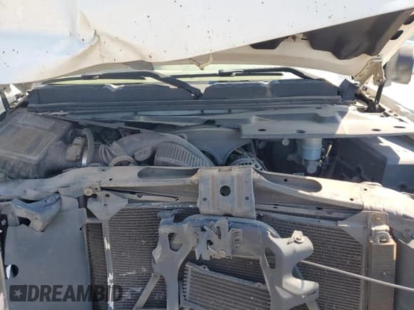 ✅ 2009 Chevrolet Silverado 1500 Work Truck • VIN: 1GCEC19029Z254145 • Lot: 62017835. Wystawiony na Copart z przebiegiem Nie podano. Bezpłatny archiwum sprzedaży aukcyjnych z USA i szczegółowy raport historii pojazdu na DreamBid. Zdjęcie 11.