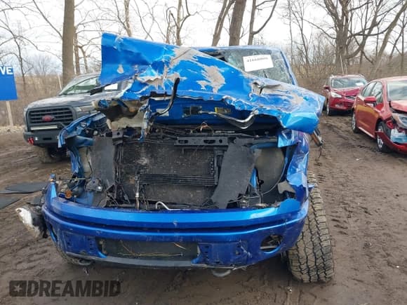 ✅ 2010 Ford F-150 XL • VIN: 1FTEX1E84AFC69901 • Лот: 41668808. Опубликован ранее на IAAI с пробегом 178 000 миль. Бесплатный доступ к архиву аукционных продаж из США и подробный отчёт об истории автомобиля на DreamBid. Изображение 12.