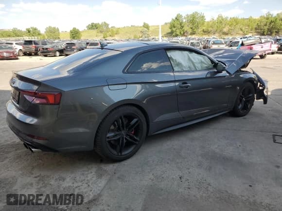 ✅ 2019 Audi S5 Premium Plus • VIN: WAUP4AF53KA044239 • Lot: 61853995. Listed on Copart with Not provided. Free auction sales archive from the USA and detailed vehicle history report at DreamBid. Image 3.