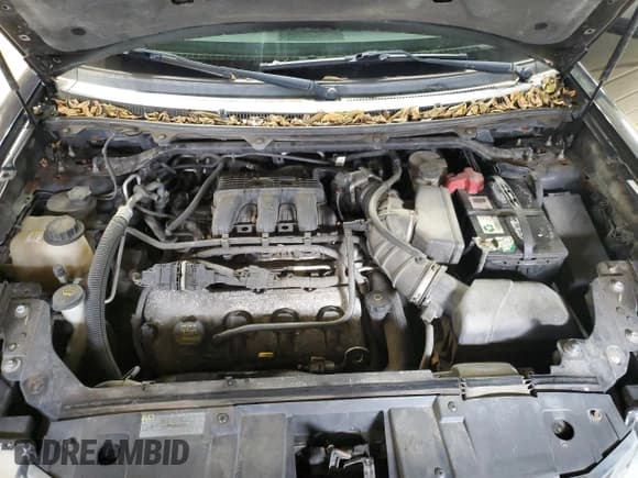 ✅ 2009 Ford Flex SEL • VIN: 2FMEK62C39BB07402 • Lot: 92528165. Wystawiony na Copart z przebiegiem 247 898 mil. Bezpłatny archiwum sprzedaży aukcyjnych z USA i szczegółowy raport historii pojazdu na DreamBid. Zdjęcie 12.