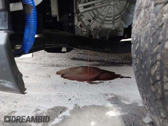 ✅ 2025 Hyundai Tucson SEL • VIN: 5NMJFCDE0SH502181 • Лот: 43491565. Опубликован ранее на IAAI с пробегом 5 210 миль. Бесплатный доступ к архиву аукционных продаж из США и подробный отчёт об истории автомобиля на DreamBid. Изображение 17.