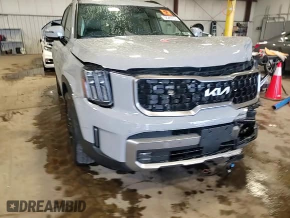 ✅ 2023 Kia Telluride SX Prestige • VIN: 5XYP5DGC6PG352298 • Lot: 56286705. Listed on Copart with Not provided. Free auction sales archive from the USA and detailed vehicle history report at DreamBid. Image 13.