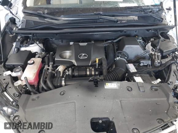 ✅ 2020 Lexus NX 300 • VIN: JTJGARDZ5L5002078 • Lot: 42604149. Listed on IAAI with 48,295 mi. Free auction sales archive from the USA and detailed vehicle history report at DreamBid. Image 10.