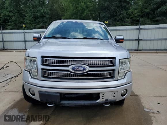 ✅ 2010 Ford F-150 XL • VIN: 1FTFW1EVXAFB76698 • Lot: 66725125. Listed on Copart with 137,534 mi. Free auction sales archive from the USA and detailed vehicle history report at DreamBid. Image 5.