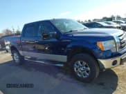 ✅ 2009 Ford F-150 XL • VIN: 1FTPW14VX9FB31892 • Лот: 43667027. Опубликован ранее на IAAI с пробегом 190 539 миль. Бесплатный доступ к архиву аукционных продаж из США и подробный отчёт об истории автомобиля на DreamBid. Изображение 12.