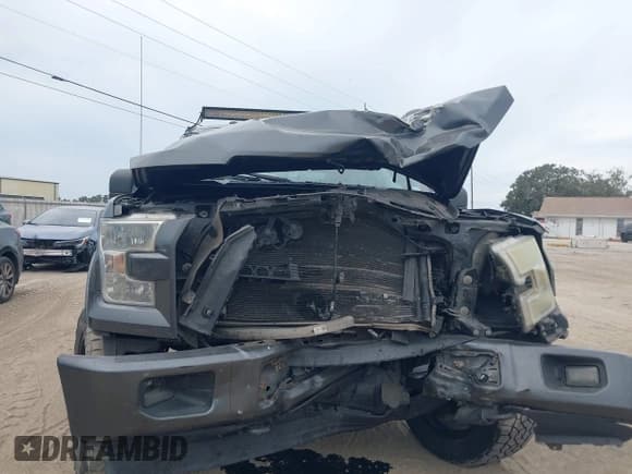 ✅ 2017 Ford F-150 XL • VIN: 1FTEW1EF2HFA71491 • Lot: 43605253. Listed on IAAI with 185,460 mi. Free auction sales archive from the USA and detailed vehicle history report at DreamBid. Image 6.