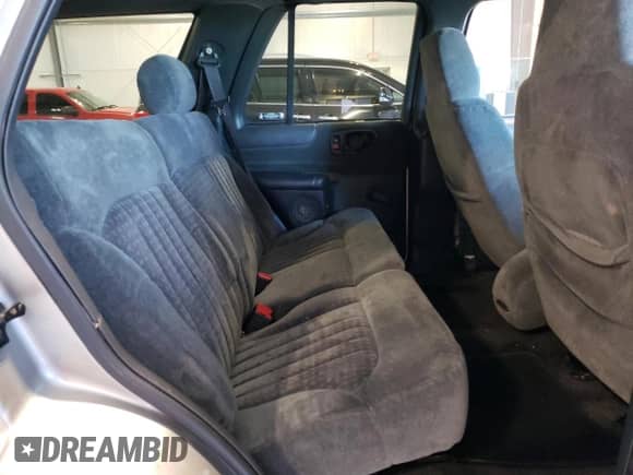 2002 Chevrolet Blazer LS z VIN 1GNDT13WX2K149500, wystawiony jako Copart lot #81766444 z przebiegiem 251 330 mil mil oraz Szkoda całkowita • Salvage title. Historia ofert i sprzedaży dostępna na DreamBid. Obrazek 11.