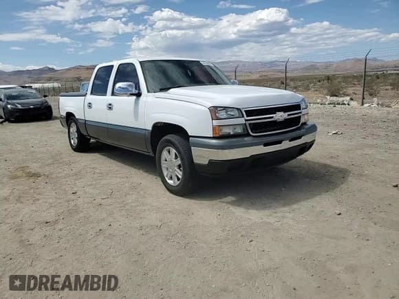 ✅ 2007 Chevrolet Silverado 1500 LS • VIN: 2GCEC13VX71106268 • Lot: 69798684. Listed on Copart with 246,318 mi. Free auction sales archive from the USA and detailed vehicle history report at DreamBid. Image 10.